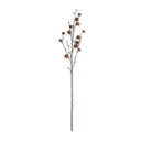 Red Pod Stem