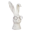Rabbit with glasses