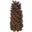 PINE CONE TABLE TOP BR