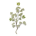 Floral Branch