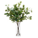 Eucalyptus Stems in Glass Vase