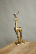 Vixen Reindeer
