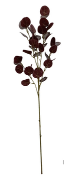 Plum Silver Dollar Eucalyptus