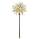 DAHLIA STEM