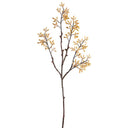 35" SEED SPRAY TAN