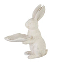 Distressed bunny with leaf