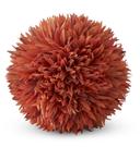 FALL POM