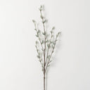 WILLOW SPRAY