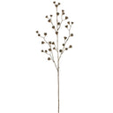 39" ABUTILON SEED SPRAY