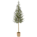 57" CYPRESS TREE