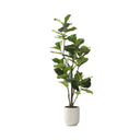Fiddle Leaf Fig Tree in White Pot
