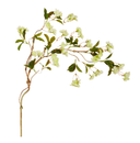Green Cherry Blossom Branch
