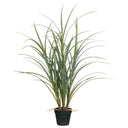 33" POTTED GRASS