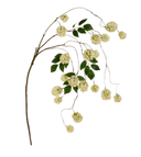 Green Mini Hydrangea Branch