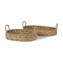 HAINI TRAY