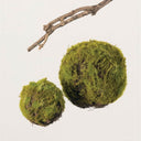 MOSSY ORB