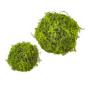 Moss ball - Large