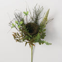 NEST FERN PICK