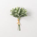 SAGE BUNDLE