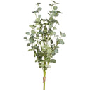 35" EUCALYPTUS BUNDLE