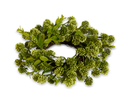 Sedum Mini Wreath-Candle Ring