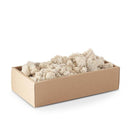 CREAM REINDEER MOSS