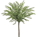 SPRUCE BUNDLE X3 GR