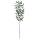 BOXWOOD SPRAY
