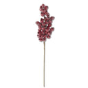Glittered Red Stem