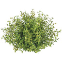 GRASSY ORB