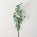 TALL GREEN EUCALYPTUS SPRAY