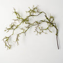 MOSSY BRANCHES