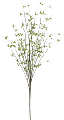 Light Green Leafy Foliage Stem