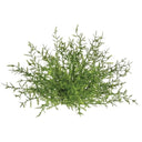 FEATHER FERN HALF ORB