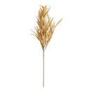 35 INCH BROWN GRASS STEM