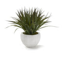 Grass Ezra Vase