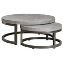 AIYARA NESTING COFFEE TABLES, S/2