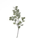 Green/Grey Silver Dollar Branch