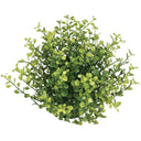 GRASSY HALF ORB