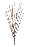 White Pussy Willow Branch 28"