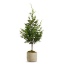 38" POTTED CEDAR TREE