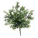 BOXWOOD PICK