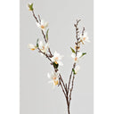 WHITE MAGNOLIA STEM