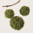 MOSS & LEAF VINE ORB