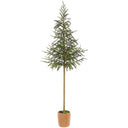 50"CYPRESS TOPIARY TREE (POT)