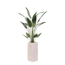5' Palm Everett Planter