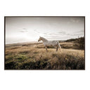 HORSE ART