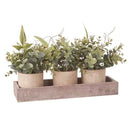 12.75" POTTED EUCALYPTUS