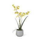 Real Touch Yellow Orchid in White Ceramic Pot