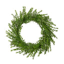 24" BOXWOOD WREATH
